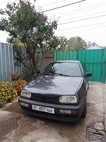 Volkswagen: Volkswagen Golf: 1993 г., 1.6 л, Механика, Бензин, Хэтчбэк