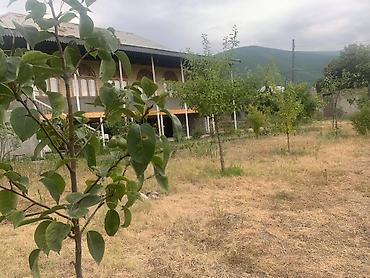 bina az bayil heyet evleri: 180 kv. m, 4 otaqlı, Hovuzsuz, İnternet, Telefon, Qaz — 9