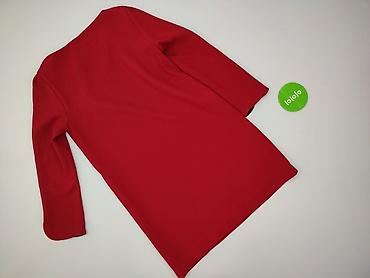 zara basic 77302: Zara, Sukienka damska, rozmiar M — 3