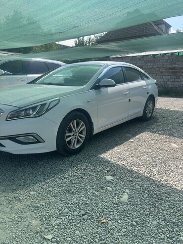 сколько стоит хендай соната в бишкеке: Hyundai Sonata: 2018 г., 2 л, Автоматические, Газ, Седан