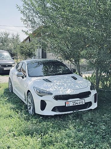 work kiwami: Kia Stinger: 2017 г., 3.3 л, Автомат, Бензин, Лифтбек — 2