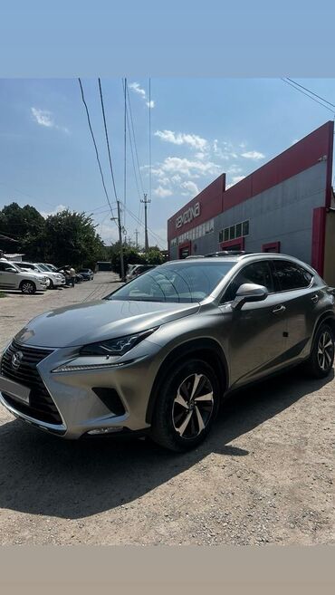 Lexus: Lexus NX: 2019 г., 2.5 л, Автомат, Гибрид, Кроссовер — 1