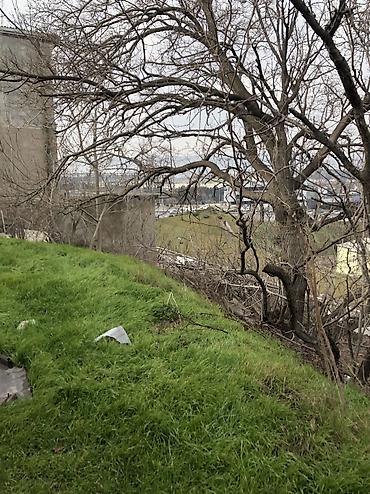 Həyət evləri və villaların satışı: 9-cu mikrorayon 5 otaqlı, 515 kv. m, Təmirsiz — 12