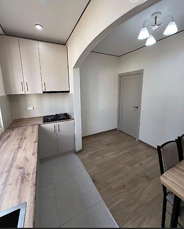 Продажа квартир: 1 комната, 45 м², 106 серия улучшенная, 1 этаж, Евроремонт — 3