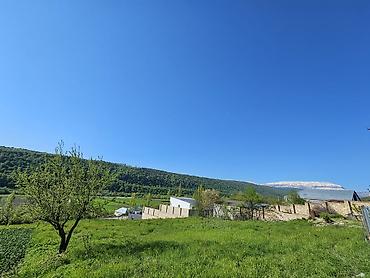 ev elanlari 2022: 12 sot, Tikinti, Mülkiyyətçi, Kupça (Çıxarış) — 1