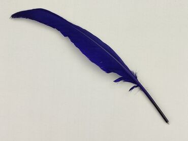 Pen, condition - Perfect