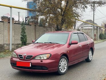 ниссан p10: Nissan Primera: 2001 г., 2 л, Автомат, Бензин, Хетчбек