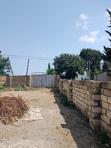 mingecevir ev alqı satqısı: Satılır: Təmir olunmuş yaşayış sahəsiev satılır sənədli ünvan Masallı — 8