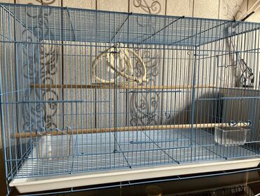 продам домик для кошки: Клетка для птиц прямоугольной формы. Поддон выполнен из белого