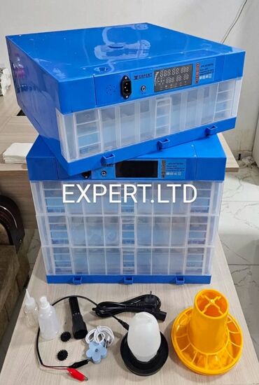 Digər quşlar: Smart-rejimli inkubatorlar satılır. Aparatlar tam olaraq avtomat, və — 8