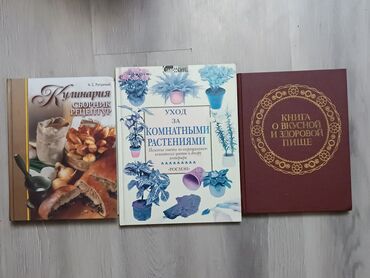 книги для школ: Продаю книги, состояние отличное книга о вкусной и здоровой пище