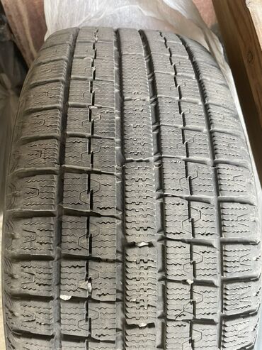 шына на трактор: Шины 225 / 50 / R 17, Зима, Легковые, Toyo