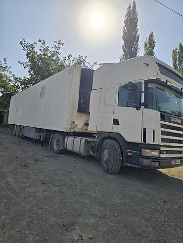 кузов холодильник: Тягач, Scania, Холодильник, рефрижератор — 3