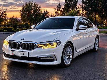 BMW 5 series: 2019 г., 2 л, Автомат, Бензин, Седан