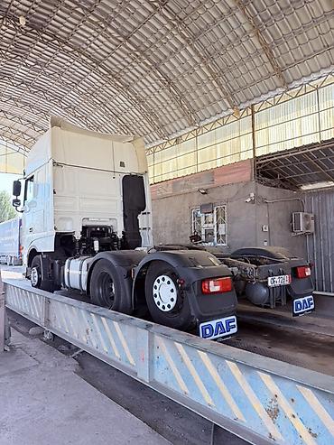 daf даф: Тягач, DAF, 2020 г., Без прицепа — 3