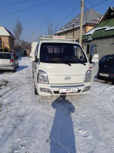 Портер, грузовые перевозки: Вывоз строй мусора, По городу, с грузчиком