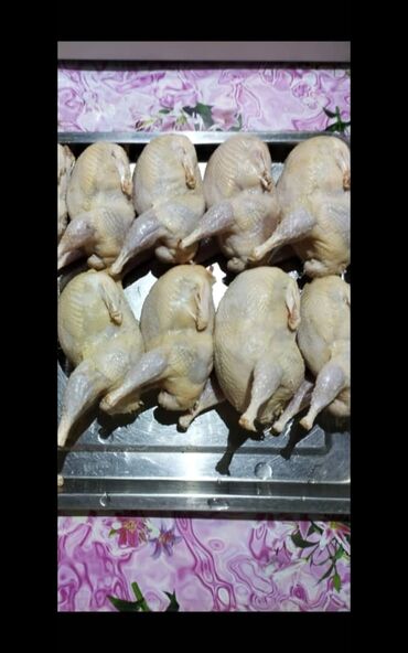 андижанские голуби продажа: Мясо перепелов