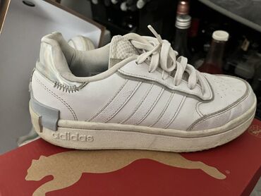 zenske patike adidas: Adidas, 39, color - White at lalafo.rs zenske patike adidas: Adidas, 39, color - White