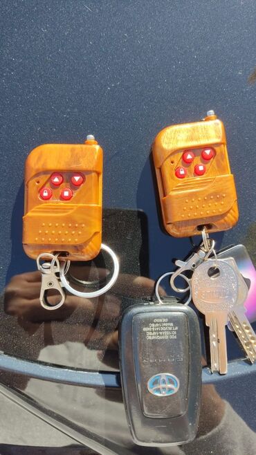 Другая автоэлектроника: Пульт от ворот Пульт на ворота Пульты для ворот Чип на ворота Чип — 17