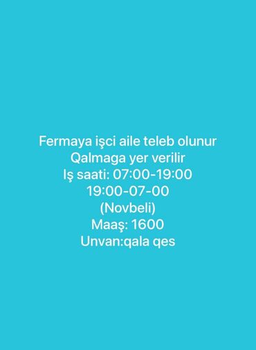 Əməkdaş axtarışı (vakansiyalar): Ev qulluqçusu tələb olunur, Növbəli qrafik, Ayda 2 dəfə ödəniş