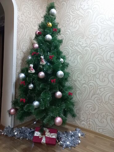 yolka satılır: Qiymete sekilde olanlar hamisi daxildi. 2.10 hunduru. kecen il cox