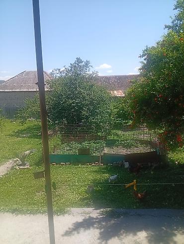 razinde evler: Bağ evi – geniş həyət və təsərrüfat sahəsi - Həyətyanı sahə — 1