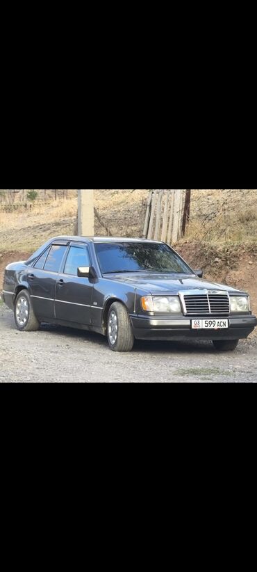 Mercedes-Benz: Mercedes-Benz W124: 1992 г., 2.2 л, Механика, Бензин, Седан