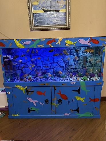 Akvariumlar: Аквариум - 2 м ( 7,000 Манат Цена -da lalafo.az — 4 Akvariumlar: Аквариум - 2 м ( 7,000 Манат Цена — 4