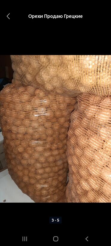 продаю сары май: Продаю орехи домашние