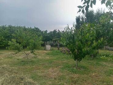 guneslide 3 otaqli evler: 2 otaqlı, 60 kv. m, Kredit var, Orta təmir