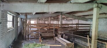 Сельхоз предприятия: Продается Кашара Фермерское- хозяйство с действующим бизнесом и с — 30