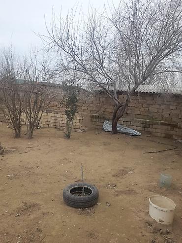 Həyət evləri və villaların satışı: 4 otaqlı, 4000 kv. m, Kredit yoxdur, Orta təmir — 4