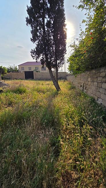Torpaq sahələrinin satışı: 12 sot, Tikinti, Mülkiyyətçi -da lalafo.az — 17 Torpaq sahələrinin satışı: 12 sot, Tikinti, Mülkiyyətçi — 17