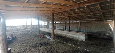 Продажа домов: Дом, 1000 м², 2 комнаты, Собственник, Старый ремонт — 7