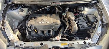 Toyota: Toyota ist: 2003 г., 1.5 л, Автомат, Бензин, Хэтчбэк — 12