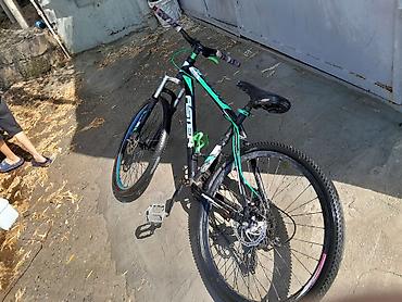 Горные велосипеды: Aster MTB velosiped - Tip: Dağ velosipedi (MTB), hardtail - Çərçivə — 3