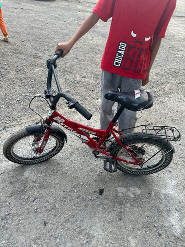 velisoped 16: Двухколесные Детский велосипед Stels, 16"