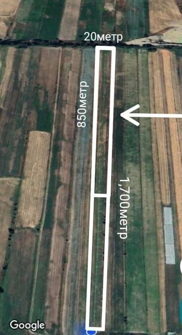 прадаю дом шопоков: 100 соток, Айыл чарба үчүн