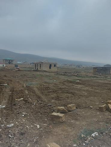 Torpaq: 8 sot, Tikinti, Maklerlər narahat etməsin, Kupça (Çıxarış) — 2