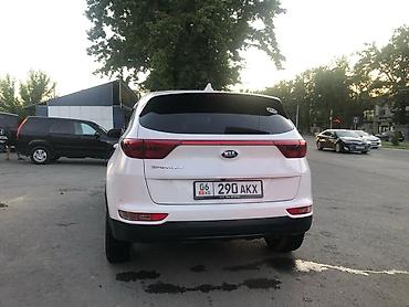 spark 2017: Kia Sportage: 2017 г., 2.4 л, Автомат, Бензин, Кроссовер — 4