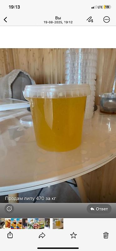 Мёд: Белый мёд! ат-баши оптом! белый мёд,в 1кг,05,25кг,1л(1.5кг) таре. мёд — 15