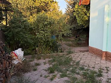 Продажа дачи: 🏡 Продаётся дачный комплекс в Таш-Мойноке 📐 Общая площадь — 7,75 at lalafo.kg — 13 Продажа дачи: 🏡 Продаётся дачный комплекс в Таш-Мойноке 📐 Общая площадь — 7,75 — 13