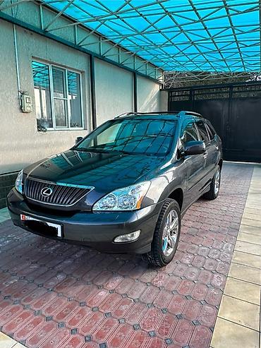 Lexus: Lexus RX: 2004 г., 3.3 л, Автомат, Бензин, Кроссовер — 12