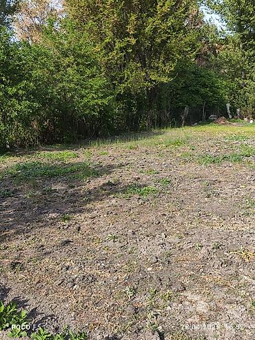 Другие услуги: Спашка огорода С дизельный мотоблок и бензиновый Цена договорная — 13