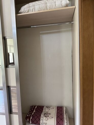 механизмы для ворот: Кийим салуучу шкаф, Колдонулган, Түз, ЛДСП
