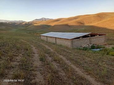 Продажа сельхоз предприятий: Токтогул шаары котормо айылынан айылдын четинен сарай уйу мн сатылат — 1