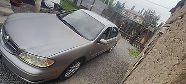 диска авто: Nissan Maxima: 2004 г., 2 л, Механика, Бензин, Седан — 2