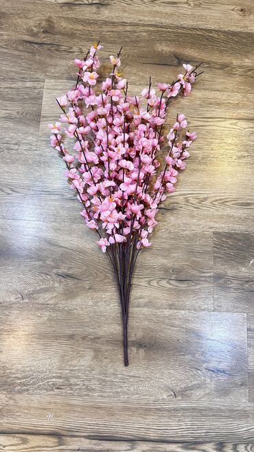 Digər ev dekoru: 10 man baslayan qiymetlerr — 5