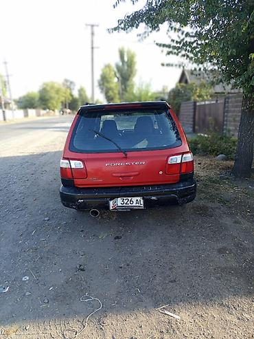 продам субурбан: Subaru Forester: 2000 г., 2 л, Автомат, Бензин, Универсал — 2