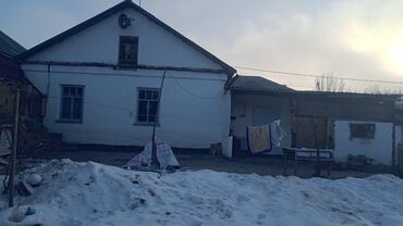 Другие комнатные растения: Талас шаары Танабаев 265кочосу техникумдун аркасында жайгашкан — 5